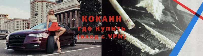 COCAIN Fish Scale  купить закладку  Долгопрудный 